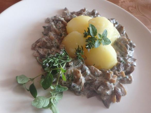 Smetanová omáčka s houbami a vepřovým masem