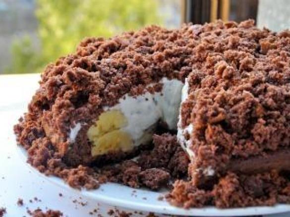 Domácí Krtkův dort