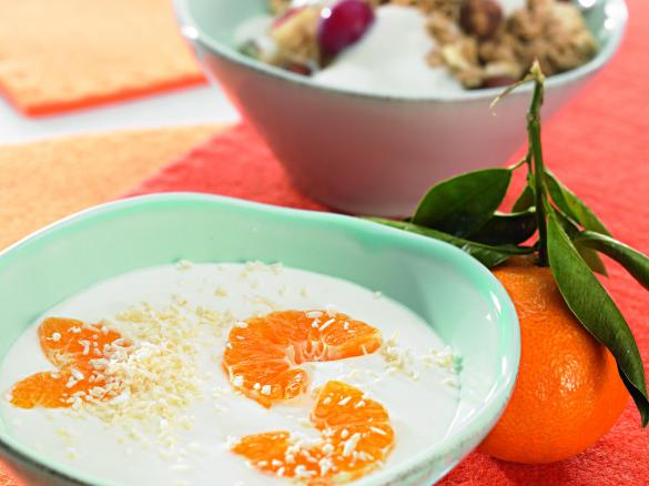 Bílý a kokosový jogurt