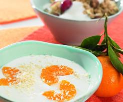 Bílý a kokosový jogurt