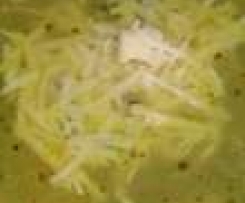 Polévka opilcova rána