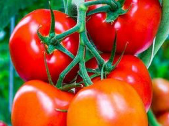 Velmi chutná rajská polévka