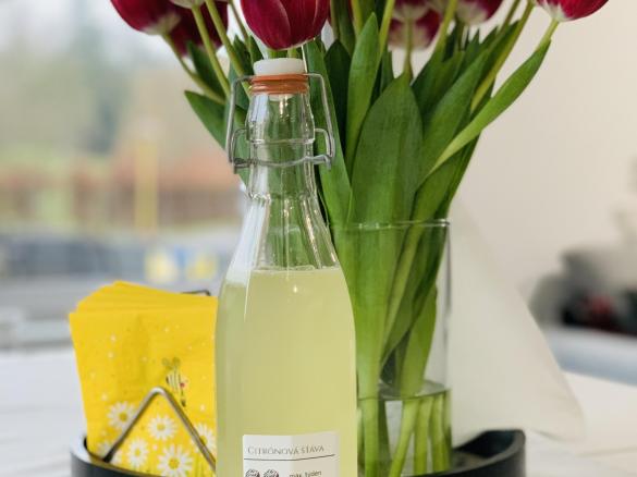 Domácí citronová šťáva
