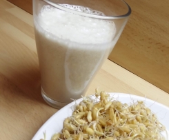 RAW Kamutové mléko