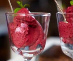 Zmrzlina lesní směš s jogurtem