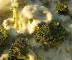 Brokolicový předkrm s jogurtem