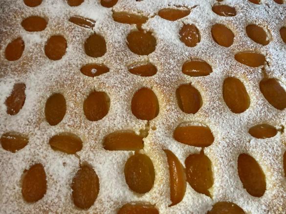 Kopie Kefírová meruňková buchta