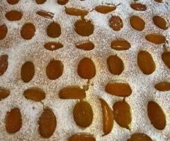 Kopie Kefírová meruňková buchta