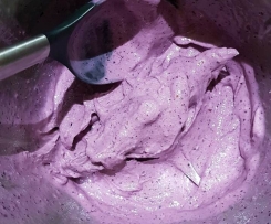 Borůvková BIO-zmrzlina