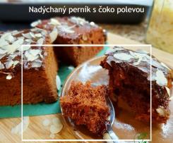 Nadýchaný perník s čokoládovou polevou (VEGAN)