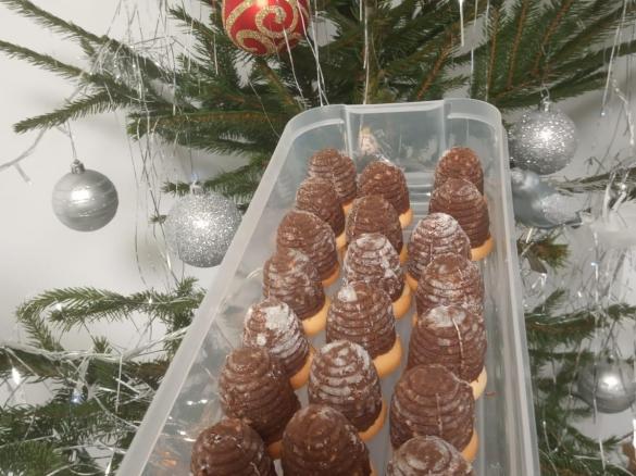 Včelí úlky, vosí hnízda